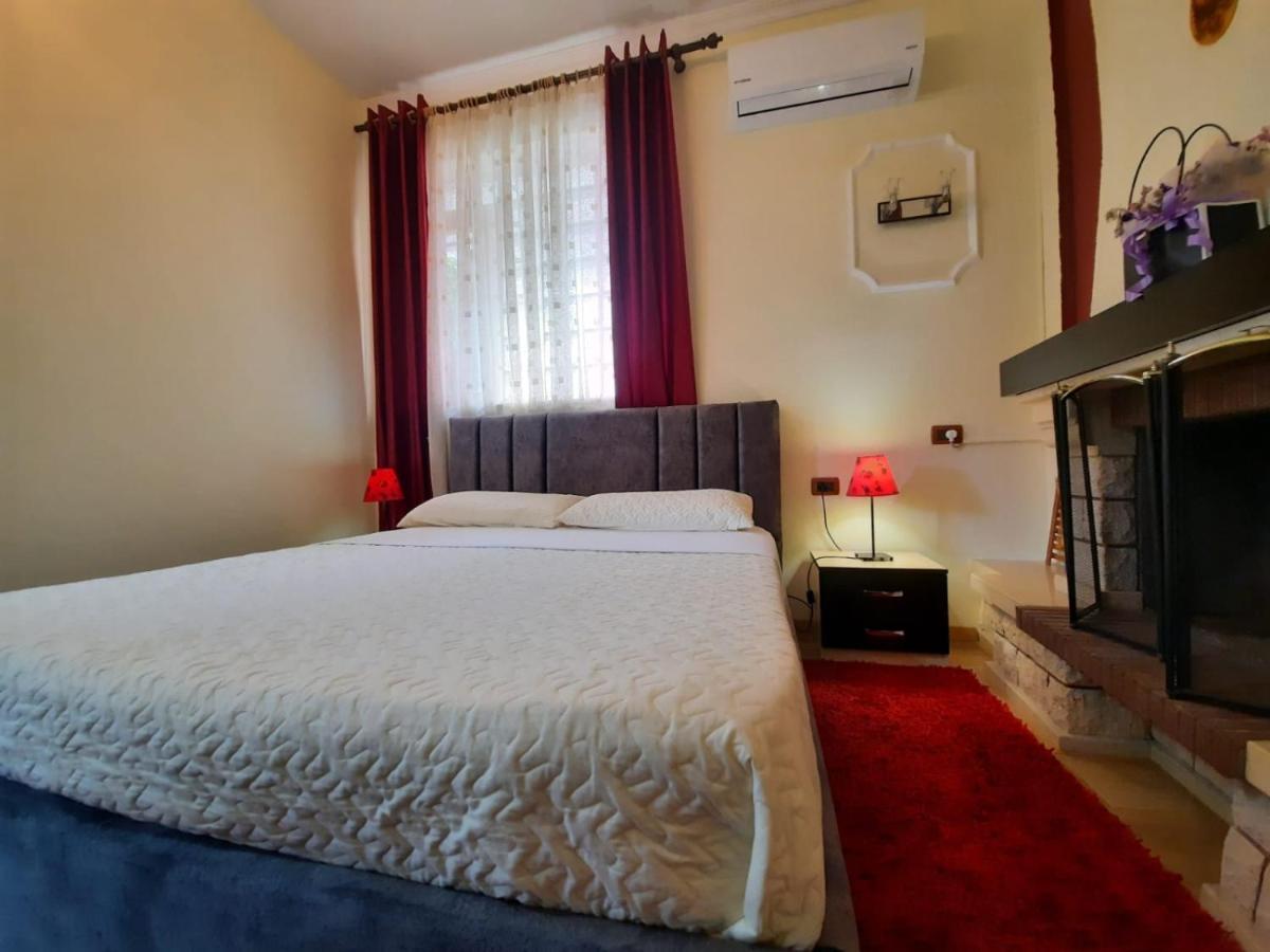 Villa 53 Τίρανα Εξωτερικό φωτογραφία